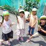 キュウリを収穫したよ！