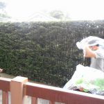 雨も楽しんじゃおう！