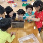 うみ組の新しいお友達