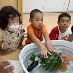食育 ☆水に浮く野菜、沈む野菜・すいか割り!☆