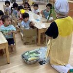 6月30日 食育★触ってみよう!とうもろこし★