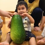 食育「冬瓜」