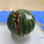 すいかわり