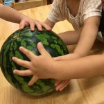 すいかに触れました！