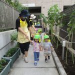 だいち組・そよかぜ組　おさんぽに行ったよ！