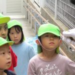 芋ほりをしていると色々な生き物との出会いがありました。