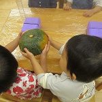かぼちゃを観察してみよう(そよかぜ組)