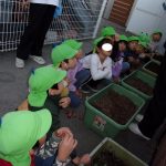 【毎年恒例　　チューリップの苗植え】