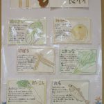 給食室から【11月】