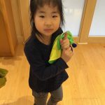 たいよう団の様子