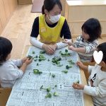 「ブロッコリー割き・かぼちゃの種取り」