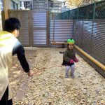 きれいなイチョウの木の下で・・・