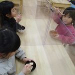 4・5歳児食育（お箸の使い方）