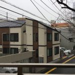 1月6日 雪が降ってきた!