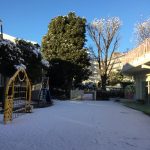 雪遊び (1月7日)