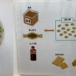 そら組「大豆の変身」