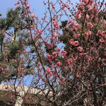 みつけた！！　～ふたば組～