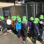 たいよう組☆ピクニック