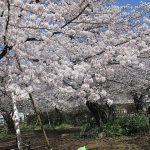 💛3月28日💛