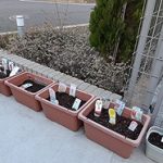 花壇・庭造り事業をしました!