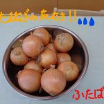 ふたば組食育活動 玉ねぎの皮むきをしました!