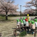 そら組とたいよう組でさんぽに行きました。