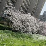 新年度がスタートです！