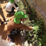 たいよう組「草とり」