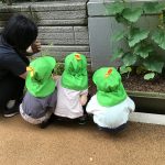 そよかぜ：虫さん見つけた！！