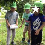 たいよう組　虫探し中！