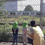 🌸そよかぜ組　散歩のひとこまです🌸