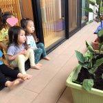 野菜の栽培始めました！