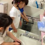 メダカの飼育