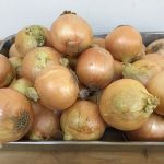 うみ組「玉ねぎの皮むき」