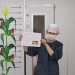 食育「とうもろこしの皮むき」うみ・そら組