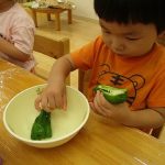 ピーマンの種とり