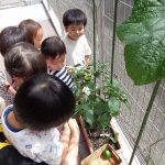 7月20日(水曜日)晴☀