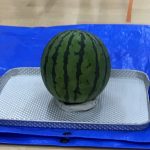 すいかわり