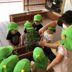 夏野菜の栽培
