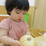 最近の食育活動