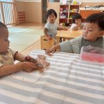 きれいな寒天、ゼリーみたい!