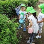 ９月１４日🌼散歩のひとこまです🌼