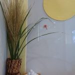 9月5日（月）秋らしくなってきましたね！
