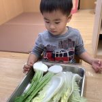 ふたば組【食育】冬野菜に触れよう！
