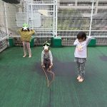 屋上で思い切り遊びます！