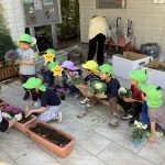 花壇庭造り事業✿たいよう組