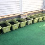 花壇・庭つくり事業をしました!