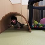 だいち組：11月前半ダイジェスト