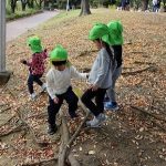 11月7日(月曜日)曇