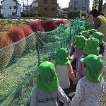 うみ・そら・たいようぐみ　公園お散歩　